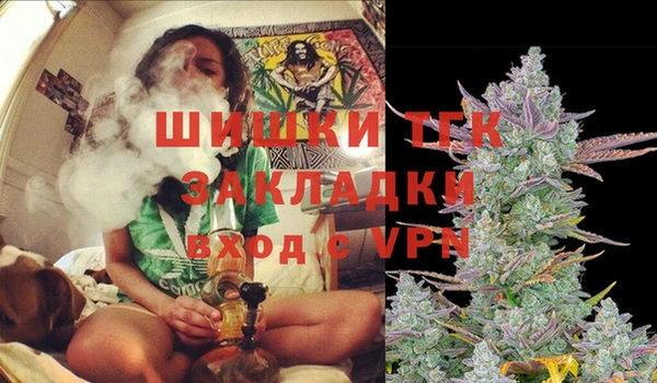 гидра Балахна